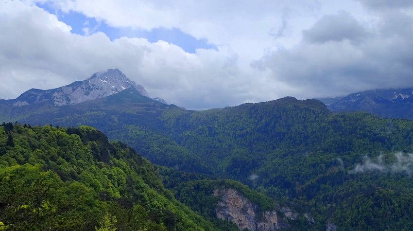 ZAŠTO JE PERUĆICA NAZVANA PLUĆIMA "EVROPE"?